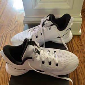 Nike Lebron Witness V